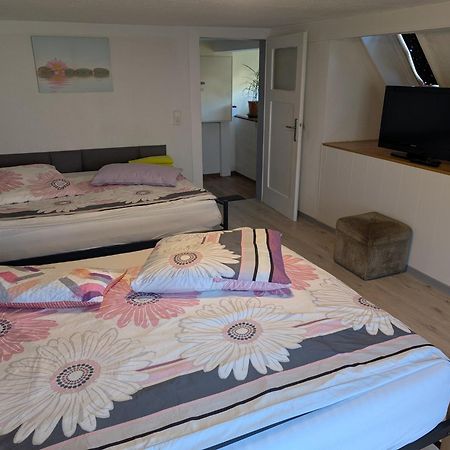 Apartament Feriendomizil Burgert Naehe Europapark Kippenheim Zewnętrze zdjęcie